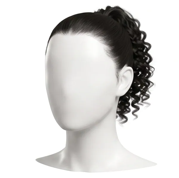 High Ponytail, Curly