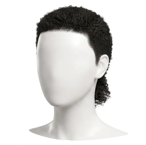 Modern Mullet, Coily