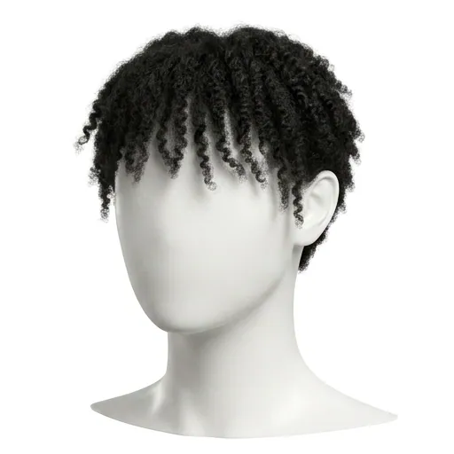 Messy Fringe, Coily