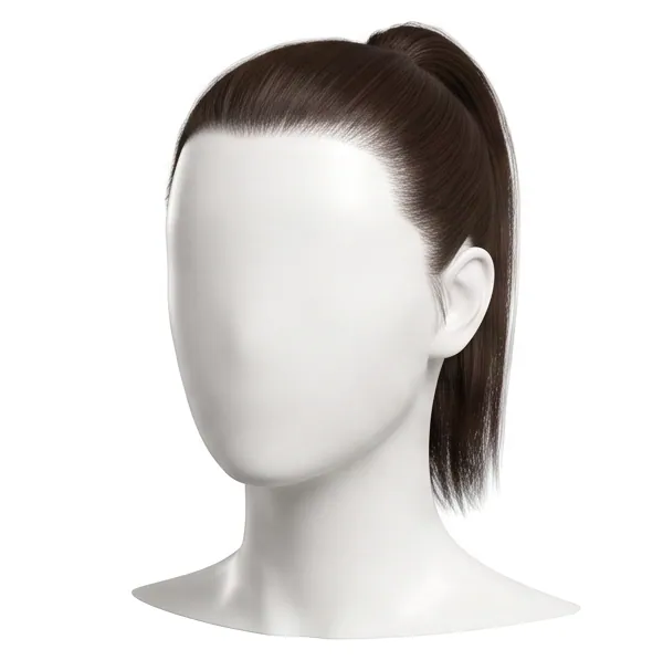 High Ponytail, Straight