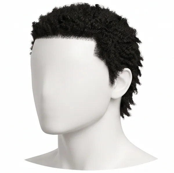 Wolf Cut, Coily
